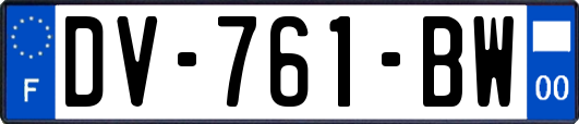 DV-761-BW