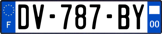 DV-787-BY