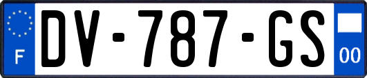 DV-787-GS