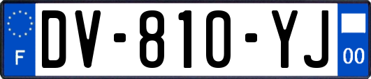 DV-810-YJ