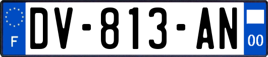 DV-813-AN