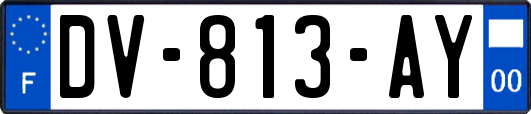 DV-813-AY