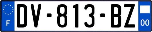 DV-813-BZ