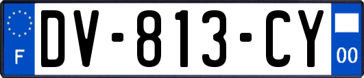 DV-813-CY