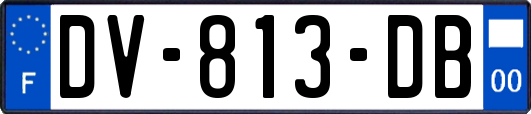 DV-813-DB