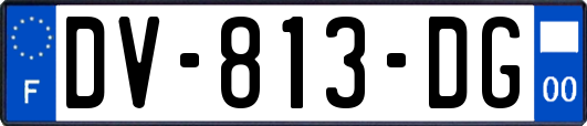 DV-813-DG