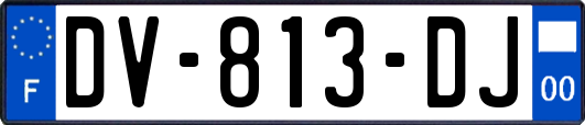 DV-813-DJ