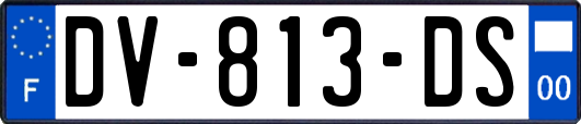 DV-813-DS