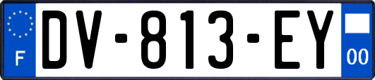 DV-813-EY