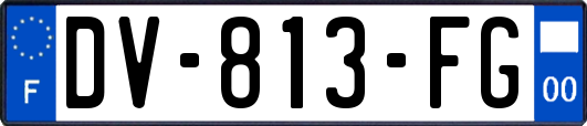 DV-813-FG