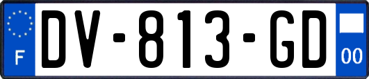 DV-813-GD