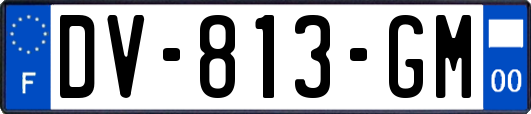 DV-813-GM