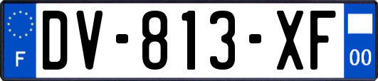 DV-813-XF