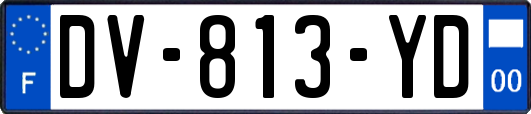DV-813-YD