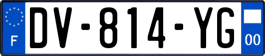 DV-814-YG