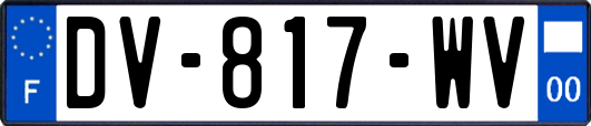DV-817-WV