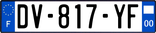 DV-817-YF