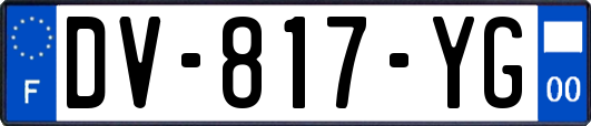 DV-817-YG