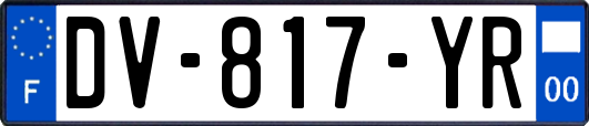 DV-817-YR