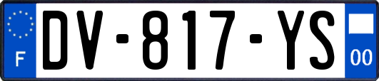 DV-817-YS