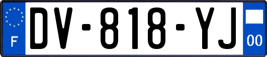 DV-818-YJ