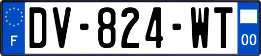DV-824-WT