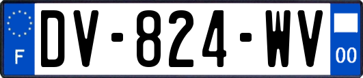 DV-824-WV