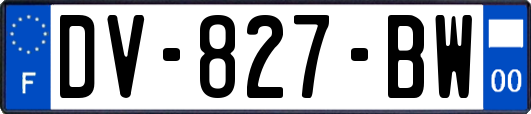 DV-827-BW