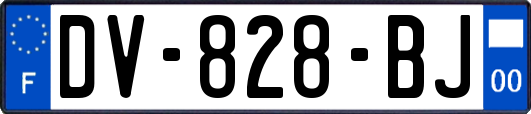 DV-828-BJ