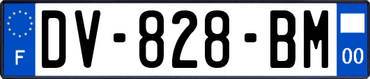 DV-828-BM