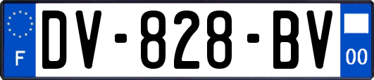 DV-828-BV