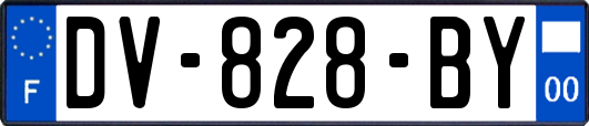 DV-828-BY