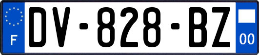 DV-828-BZ