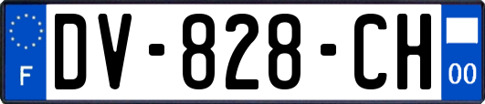 DV-828-CH