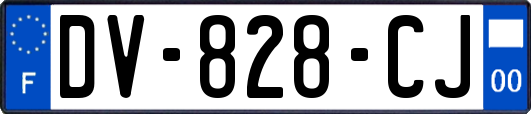 DV-828-CJ