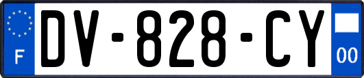 DV-828-CY