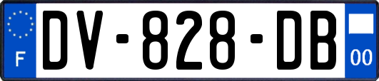 DV-828-DB