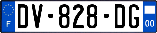 DV-828-DG