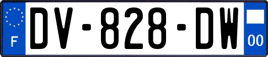 DV-828-DW