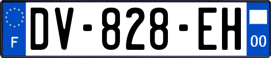 DV-828-EH