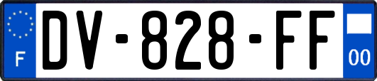 DV-828-FF