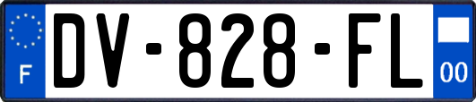 DV-828-FL