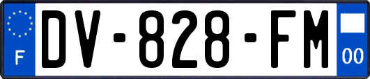 DV-828-FM