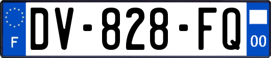 DV-828-FQ