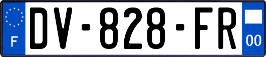 DV-828-FR