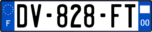 DV-828-FT