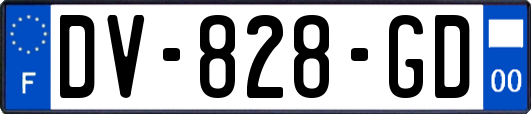 DV-828-GD