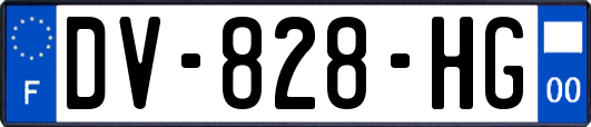 DV-828-HG