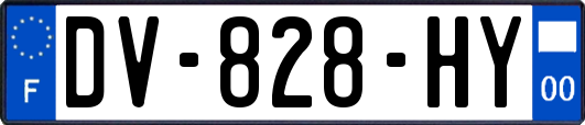 DV-828-HY