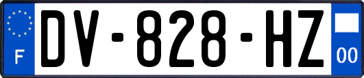 DV-828-HZ